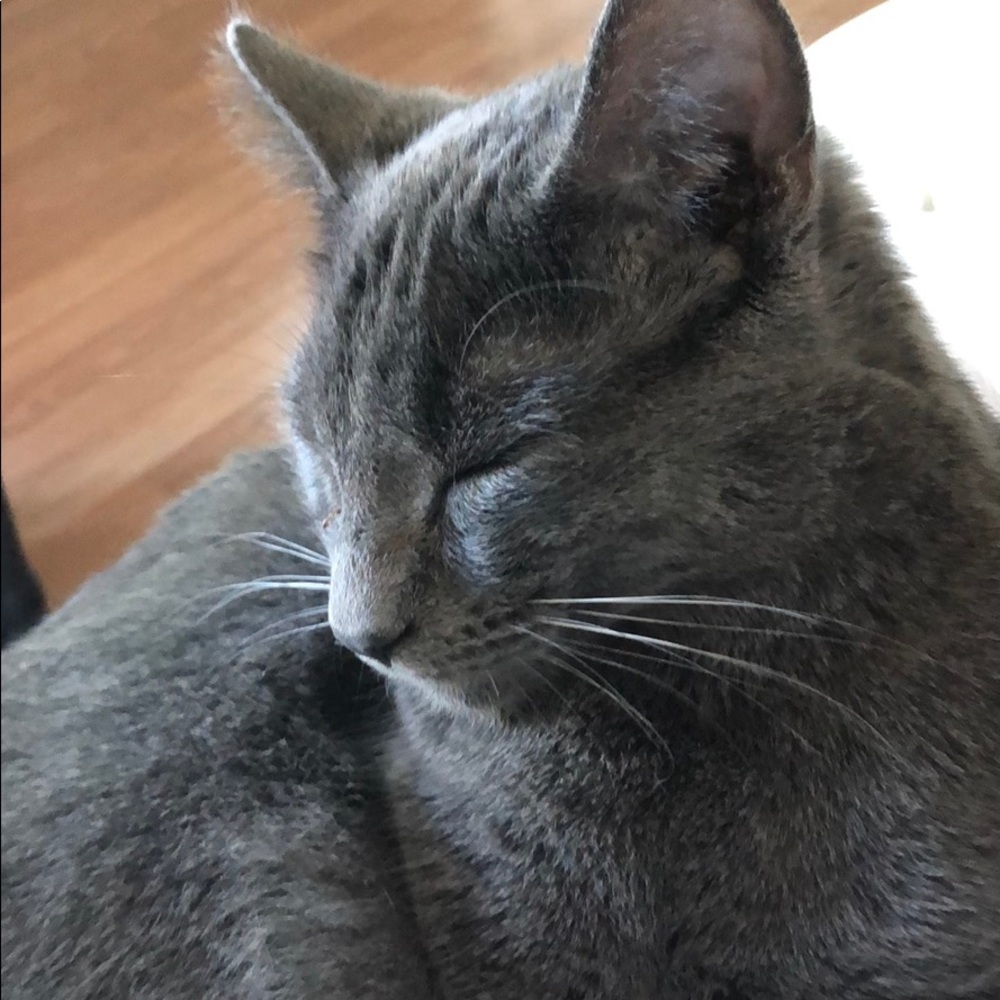 Meet your Posher, Marv